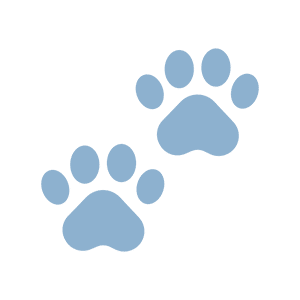 shield with check mark